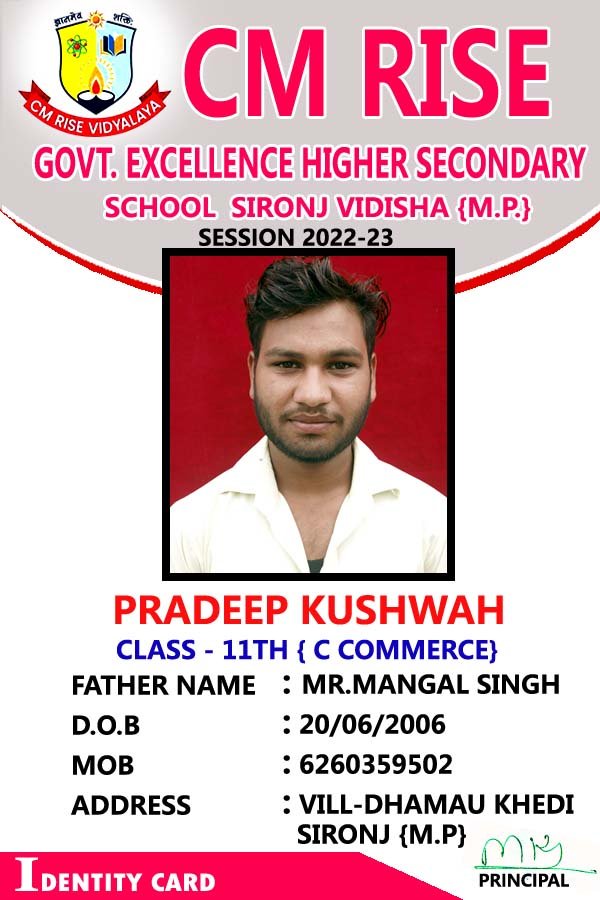 School ID card template - Payal Production